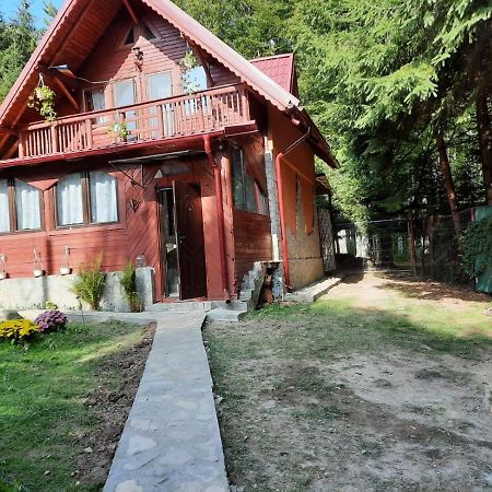 Casuta Paterau Cheia, Prahova Villa Cheia  Ngoại thất bức ảnh
