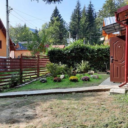 Casuta Paterau Cheia, Prahova Villa Cheia  Ngoại thất bức ảnh