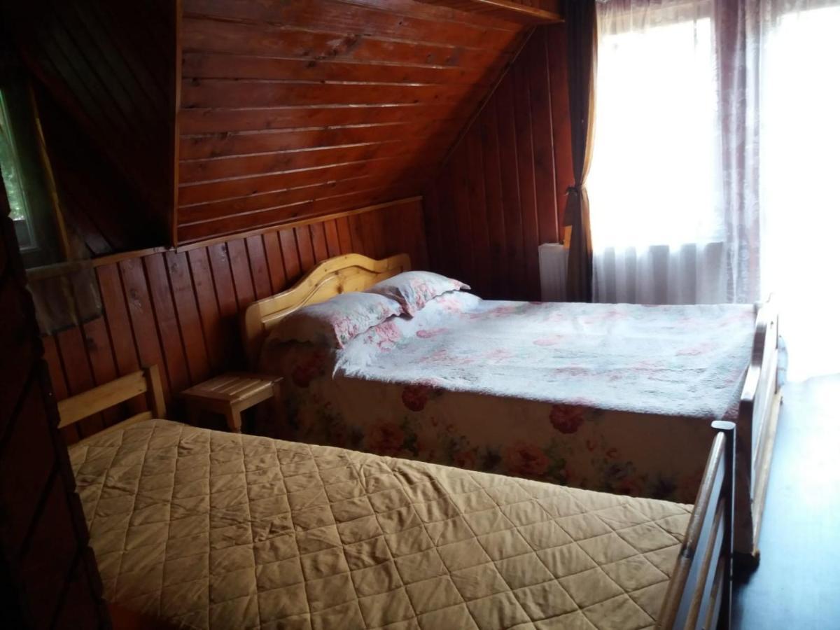 Casuta Paterau Cheia, Prahova Villa Cheia  Ngoại thất bức ảnh